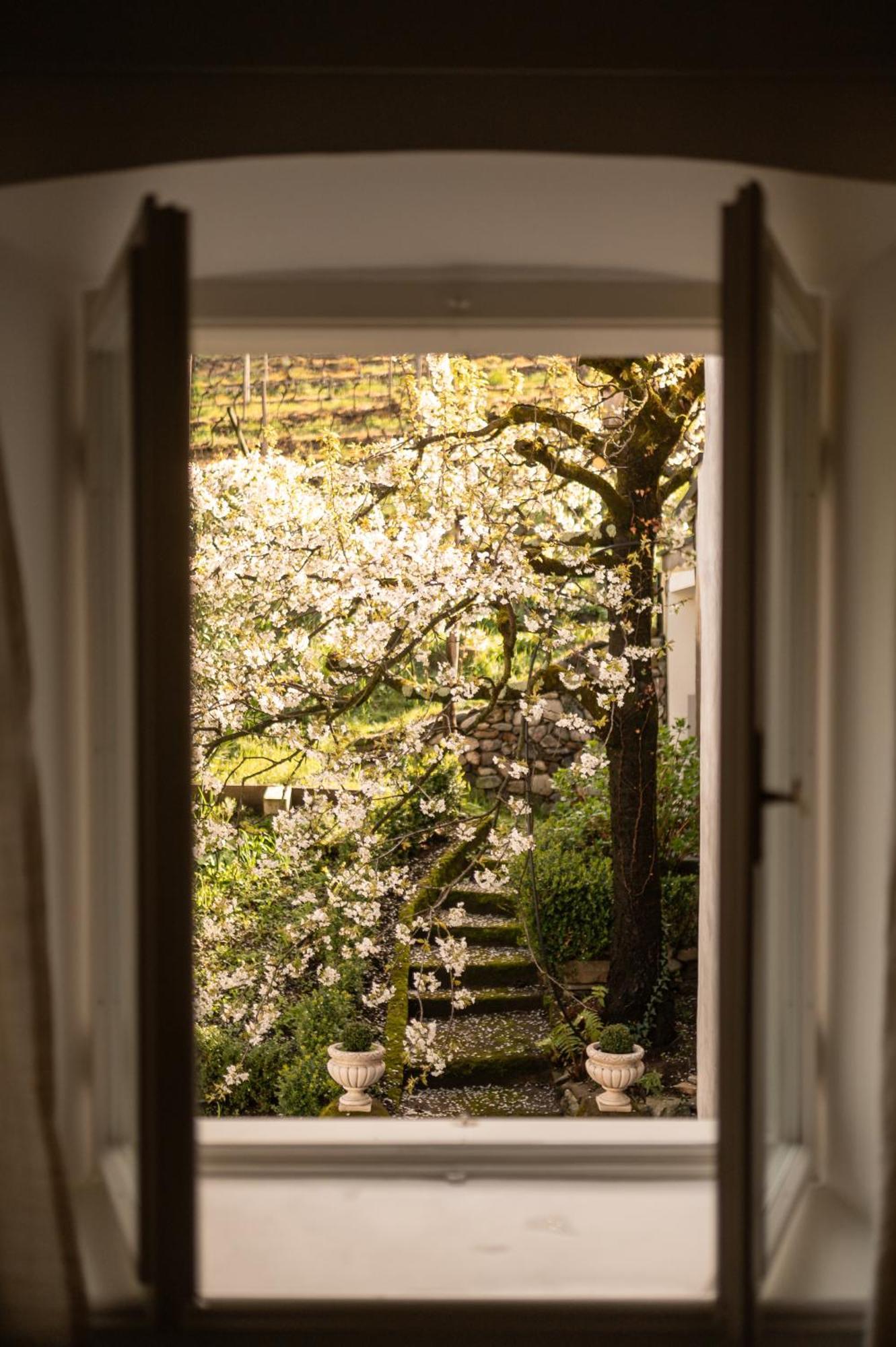 Ottmanngut Suite And Breakfast Merano Extérieur photo